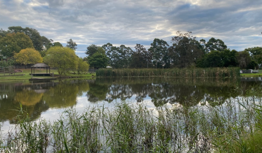 View across the lake towards the street entry.