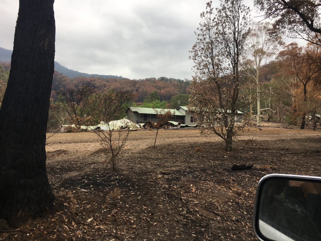 Post bushfire view