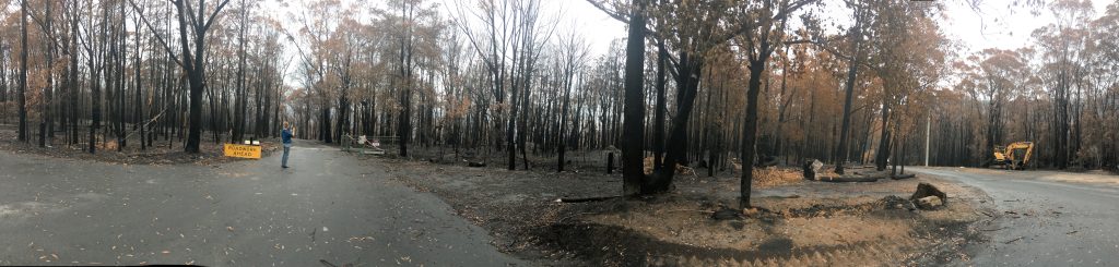 Panoramic image of post bushfire